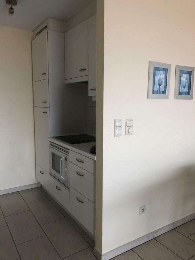 Residentie Albert-1, App.202, Zeelaan 214 드판 외부 사진
